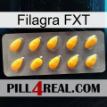 Filagra FXT cialis1